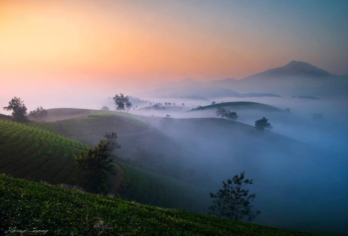 Trong đó nổi bật có đồi chè Long Cốc ở huyện Tân Sơn, Phú Thọ, cách Hà Nội khoảng 130 km