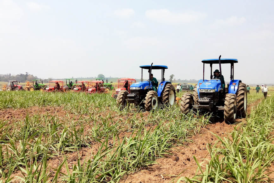 Ở An Khê đã bắt đầu có “4.0” trên những cánh đồng mía khi tự động hóa đang giúp nông dân các công đoạn nặng nhọc nhất của nghề trồng mía.