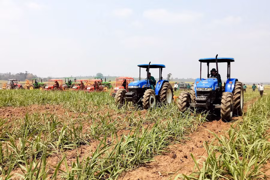 Ở An Khê đã bắt đầu có “4.0” trên những cánh đồng mía khi tự động hóa đang giúp nông dân các công đoạn nặng nhọc nhất của nghề trồng mía.