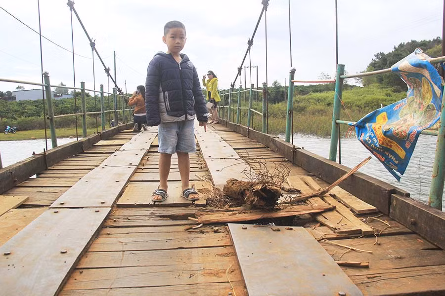  Người dân phải dùng thân cây đặt ở vị trí hư hỏng trên mặt cầu treo Biển Hồ (TP. Pleiku) để cảnh báo người qua lại. Ảnh: C.H