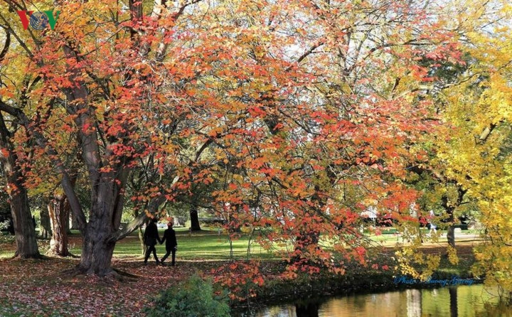 Đây là thời điểm tuyệt vời để đi dạo trong những con phố xinh xắn, những cánh rừng yên ả, ngắm nhìn công viên ngập trong sắc thu rực rỡ.