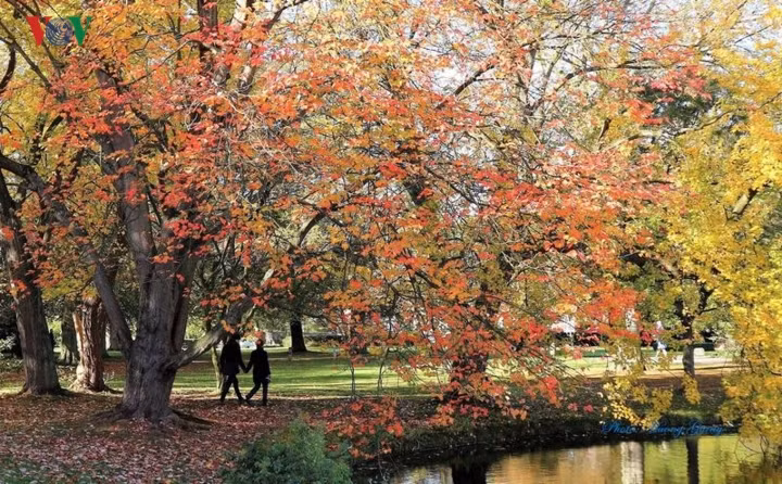 Đây là thời điểm tuyệt vời để đi dạo trong những con phố xinh xắn, những cánh rừng yên ả, ngắm nhìn công viên ngập trong sắc thu rực rỡ.