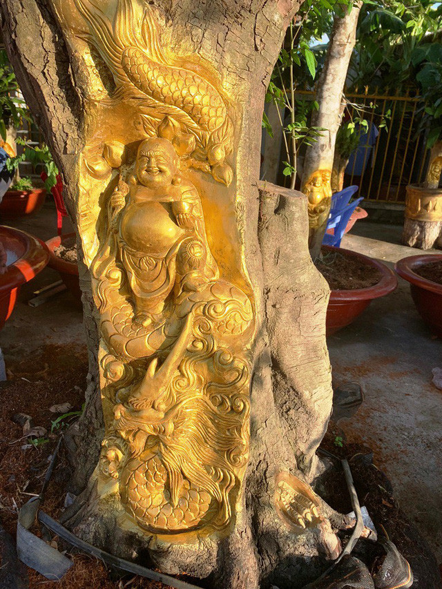  Anh Việt cho biết giá cây 