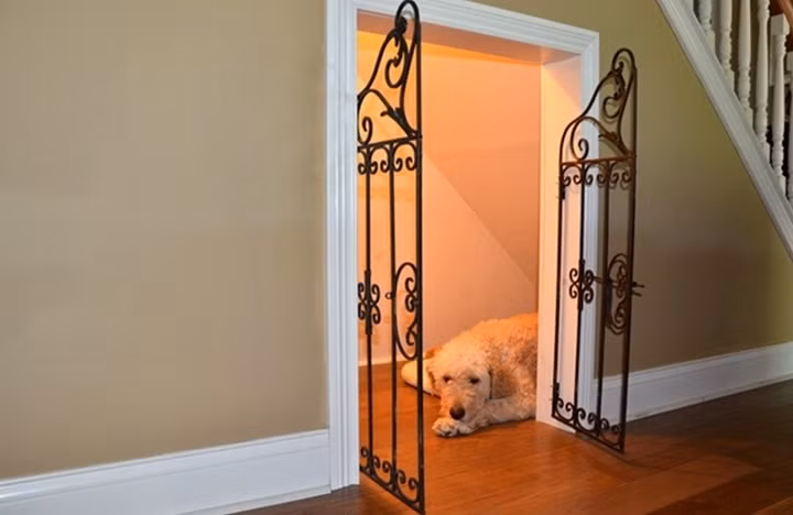 Vương quốc riêng của thú cưng trong nhà.