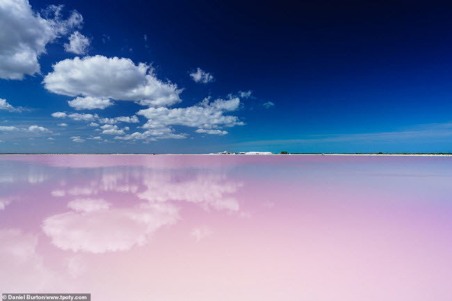  Vẻ đẹp của hồ Rio Lagartos, Yucatan ở Mexico. Ảnh: Daniel Burton