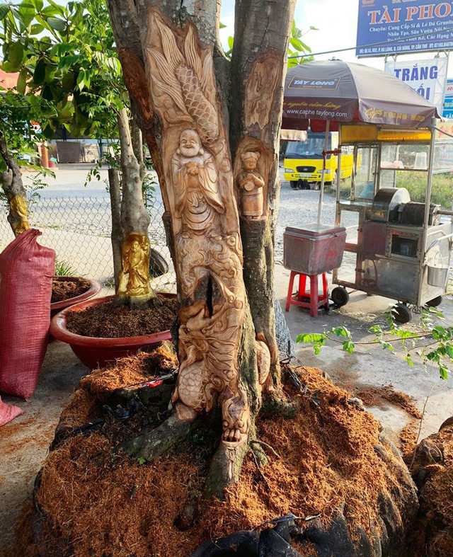  Bức tượng ngày chưa được 