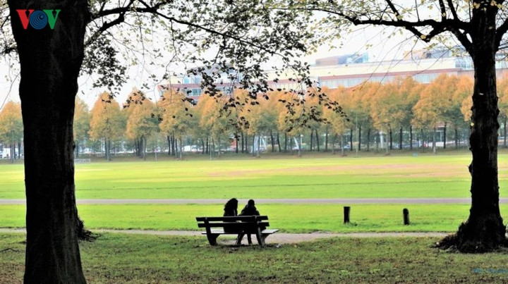 Vẻ đẹp huyền ảo buổi chiều thu gợi lên những rung cảm da diết của mùa thu-suối nguồn của những câu chuyện tình lãng mạn.