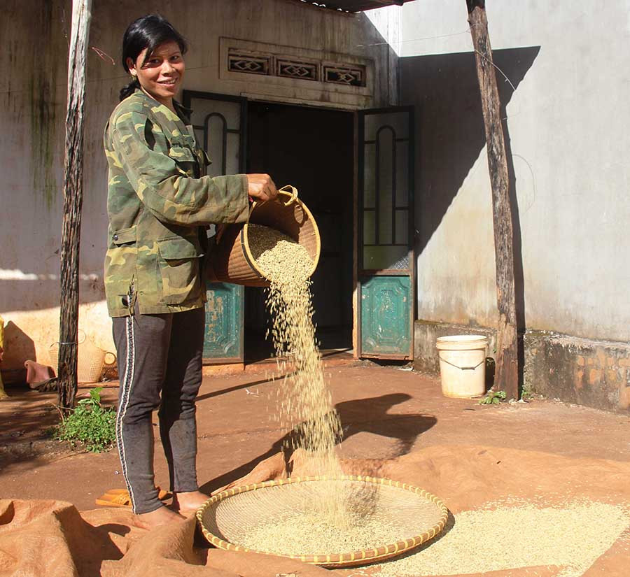  Mỗi vụ lúa, chị Kreh lại hỗ trợ cho trên 10 gia đình nghèo đói trong làng. Ảnh: T.D
