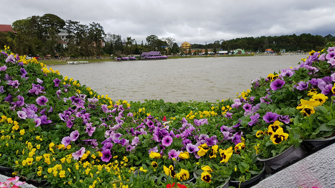 Hồ Xuân Hương (Đà Lạt)