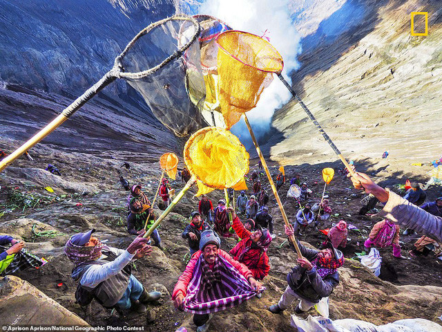  6 Aprison Aprison chụp bức ảnh màu sắc này gần núi Bromo trên hòn đảo phía đông Java, Indonesia trong sự kiện Kasodo. Anh nói: “Người dân mong du khách cũng tham gia vào lễ hội. Du khách có thể thả gà, dê, tiền và các đồ giá trị khác để nhận được phước lành từ Thượng đế. Người dân ở dưới dùng một cái lưới để bắt những đồ vật này. Họ đứng quanh miệng núi lửa và cố gắng để không bị rơi xuống.”