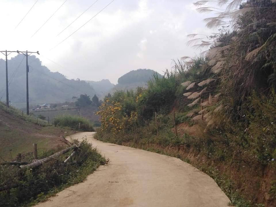 Cung đường với những vạt hoa rừng. 