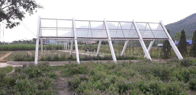  Thiết kế phim trường hòa quyện với thiên nhiên, mang lại những cảm xúc đặc biệt thú vị cho du khách.