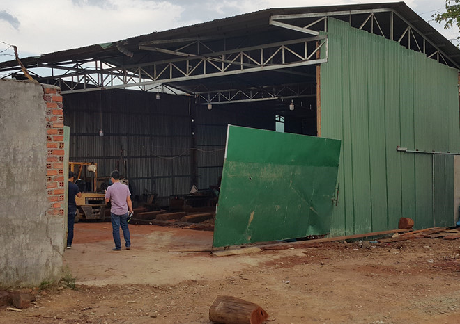 Xưởng nơi Phượng và Kiệt tập kết gỗ lậu. Ảnh: Minh Lộc.  Xưởng nơi Phượng và Kiệt tập kết gỗ lậu. Ảnh: Minh Lộc.