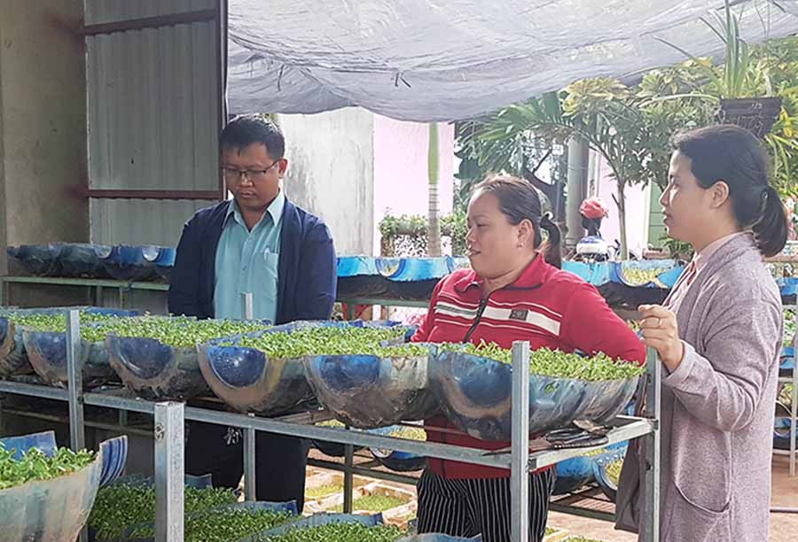  Chị Nguyễn Thị Thu (đứng giữa) giới thiệu mô hình rau mầm của gia đình. Ảnh: L.T
