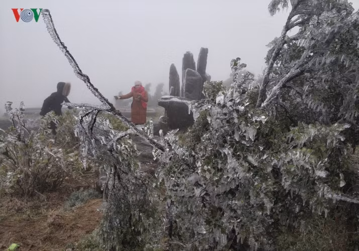 Du khách thích thú chụp ảnh tại những cây bị đóng băng.