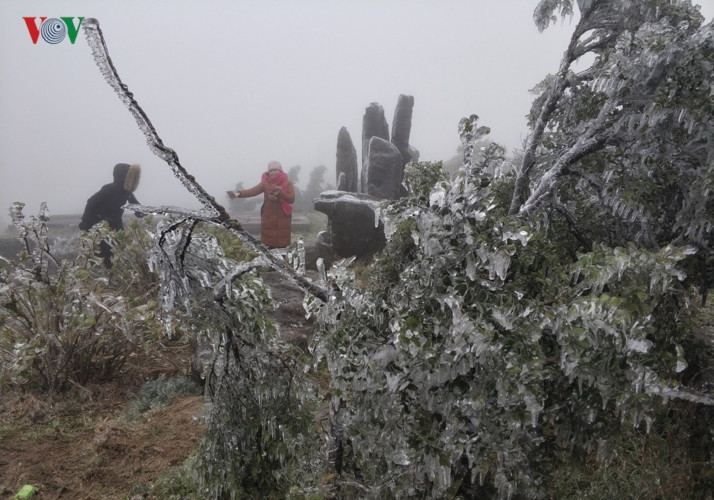 Du khách thích thú chụp ảnh tại những cây bị đóng băng.