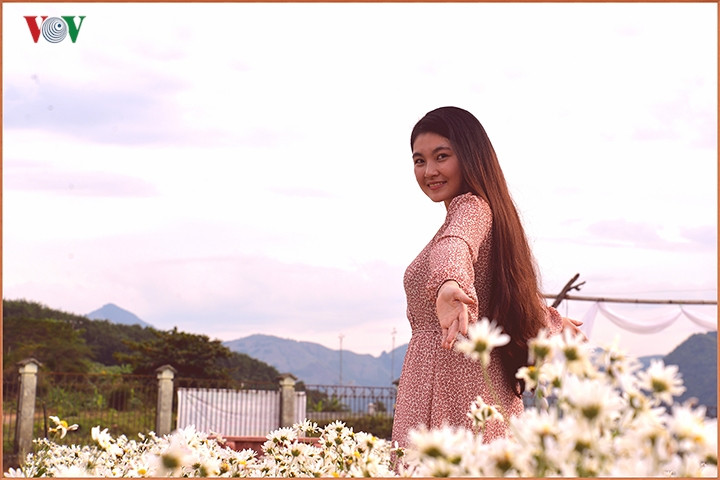 Riêng từ đầu năm tới nay, vườn cúc họa mi đã thu hút hơn 10.000 lượt du khách tới tham quan, trải nghiệm.