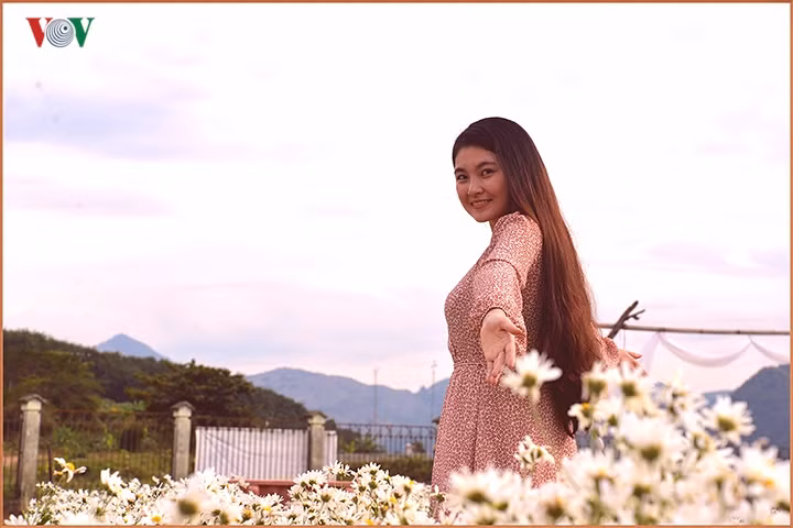 Riêng từ đầu năm tới nay, vườn cúc họa mi đã thu hút hơn 10.000 lượt du khách tới tham quan, trải nghiệm.