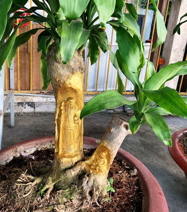  Mặc dù các bức tượng được chạm trổ tỉ mỉ nhưng thân cây vẫn tươi tốt