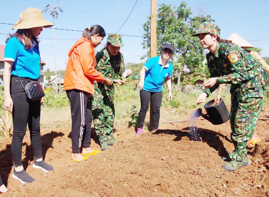  Hướng dẫn người dân làng Sơn (xã Ia Nan, huyện Đức Cơ) làm vườn rau xanh Ảnh: P.D