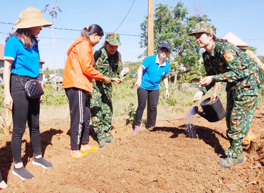  Hướng dẫn người dân làng Sơn (xã Ia Nan, huyện Đức Cơ) làm vườn rau xanh Ảnh: P.D