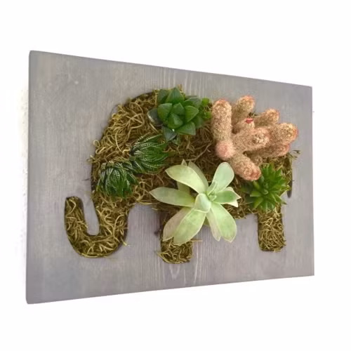 Cắt bức tường gỗ hình chú voi sau đó để đất và trồng cây bên trên mang đến một tác phẩm nghệ thuật vô cùng thú vị.