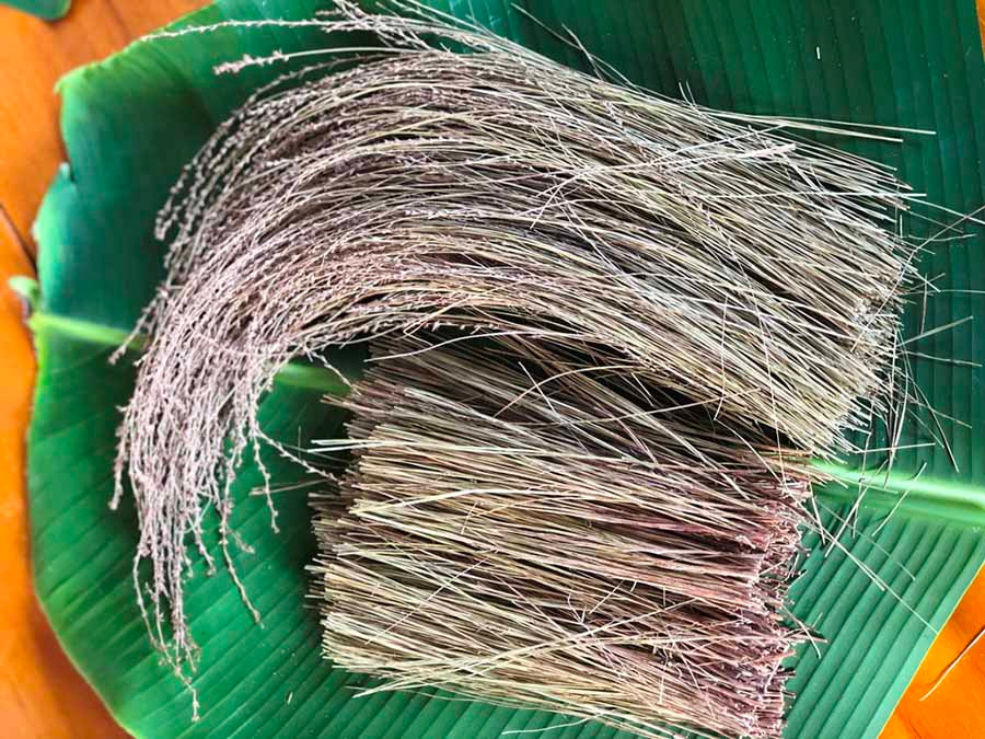 Cỏ thơm là nguyên liệu chính của muối cỏ. 