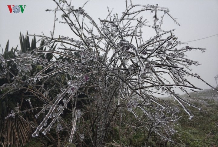 Tất cả như biến thành những tác phẩm điêu khắc nghệ thuật từ băng.