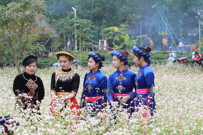  Người dân trong trang phục truyền thống chụp hình lưu niệm ở cánh đồng hoa.