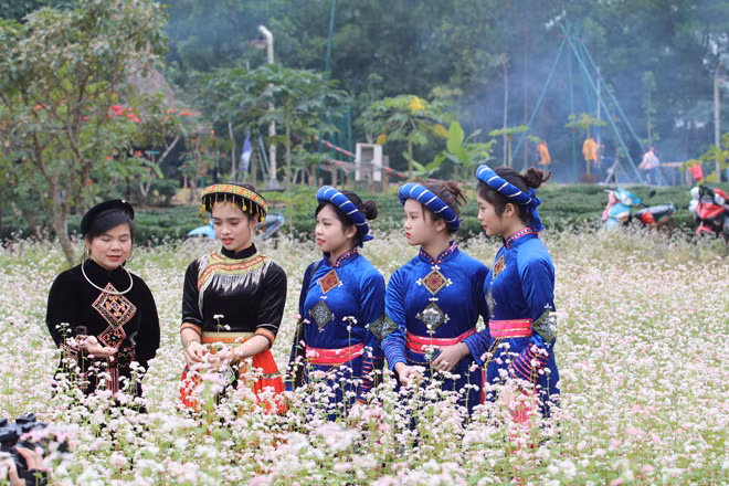  Người dân trong trang phục truyền thống chụp hình lưu niệm ở cánh đồng hoa.