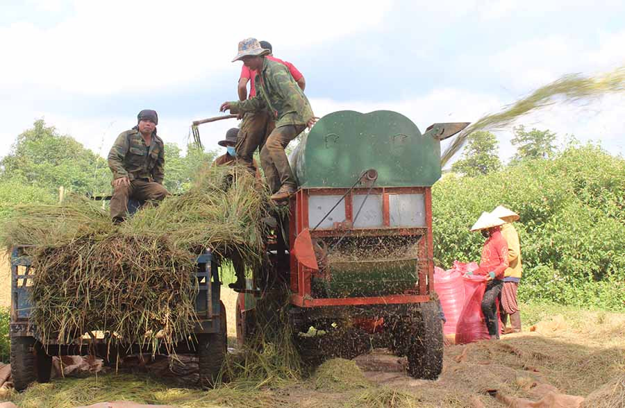  Nông dân tuốt lúa vừa thu hoạch. Ảnh: Nguyễn Diệp