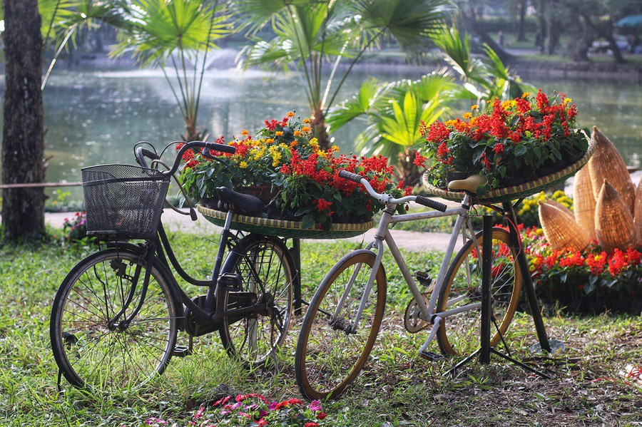  Các luống hoa được sắp đặt theo các ý tưởng khác nhau tạo nên sự đa dạng, hấp dẫn cho con đường hoa trong công viên Bách Thảo.