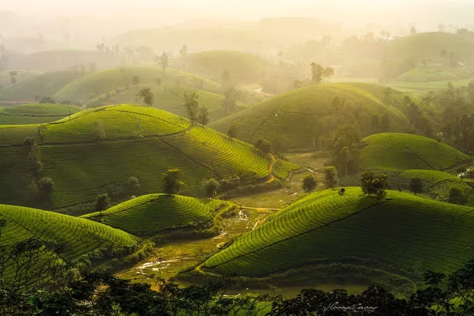 Theo một nhiếp ảnh gia, buổi sáng là thời điểm lý tưởng để khám phá nơi đây. 