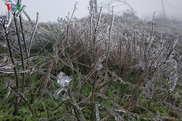 Nhiệt độ xuống dưới -1 độ C, băng giá xuất hiện đã tạo vẻ đẹp riêng có của thiên nhiên cảnh vật núi Mẫu Sơn.