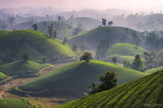 Thời khắc chuyển mùa giữa thu vào đông, nơi này có sương bao phủ dày đặc.