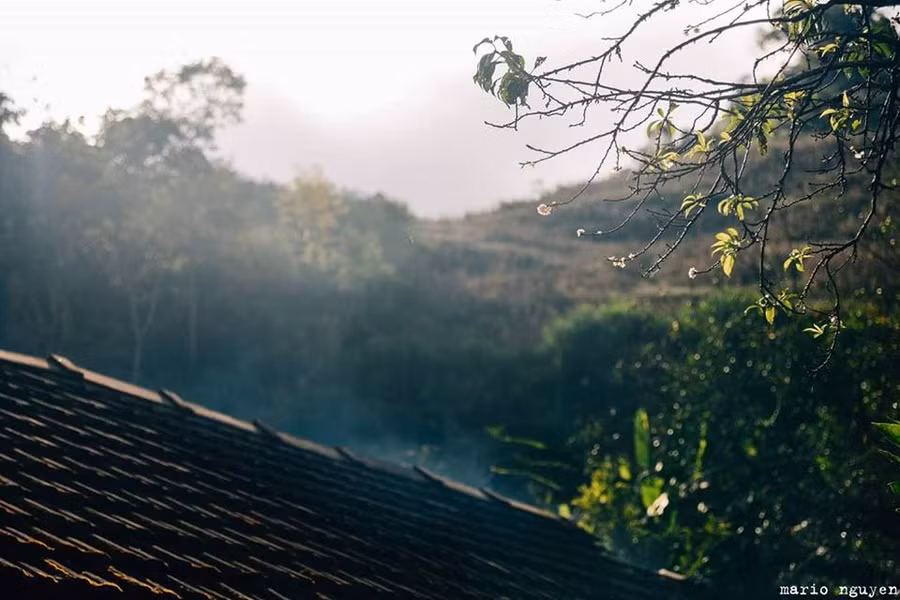 Các loài hoa rừng lặng lẽ tỏa hương, tô điểm thêm vẻ đẹp của cao nguyên Mộc Châu. 