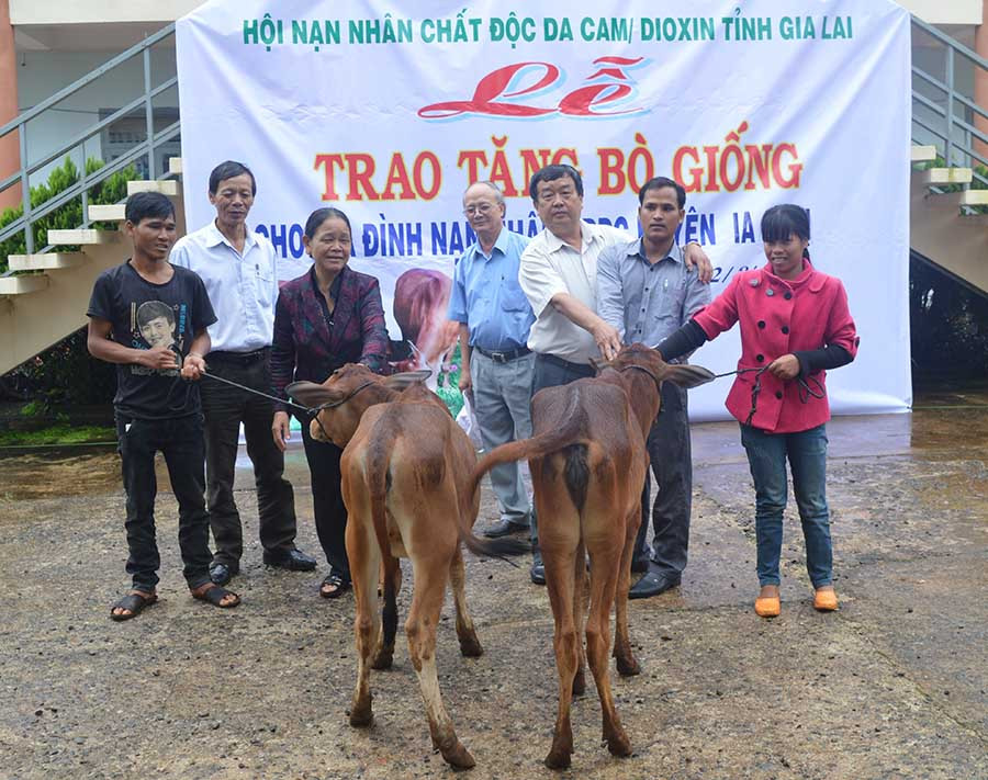  Hội Nạn nhân chất độc da cam/dioxin tỉnh tặng bò giống cho người khuyết tật. Ảnh: đ.y