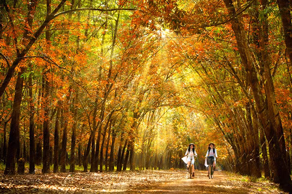 Ảnh nguồn internet