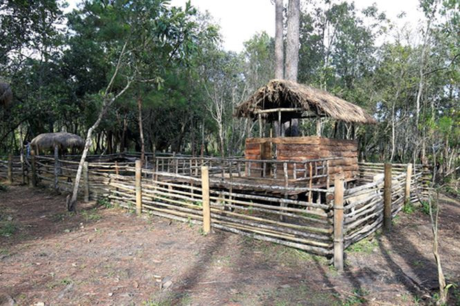 Chuồng nuôi gia súc giữa danh lam thắng cảnh Tuyền Lâm Chuồng nuôi gia súc giữa danh lam thắng cảnh Tuyền Lâm