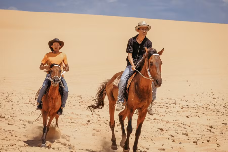  Đua ngựa trên đồi cát Mũi Dinh