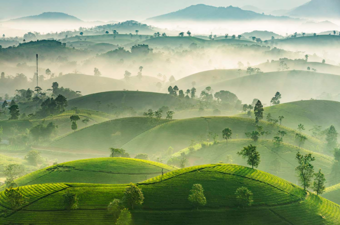  Giải thưởng nổi tiếng Sony World Photography Awards 2019 đang bước vào giai đoạn nước rút khi chỉ còn chưa đầy một tháng là hết hạn gửi ảnh dự thi. Mới đây, trong số các tác phẩm nổi bật được ban tổ chức giới thiệu, có hình đồi chè chụp tại Phú Thọ. Tác giả của bức ảnh này là Nguyen Phuc Thanh.
