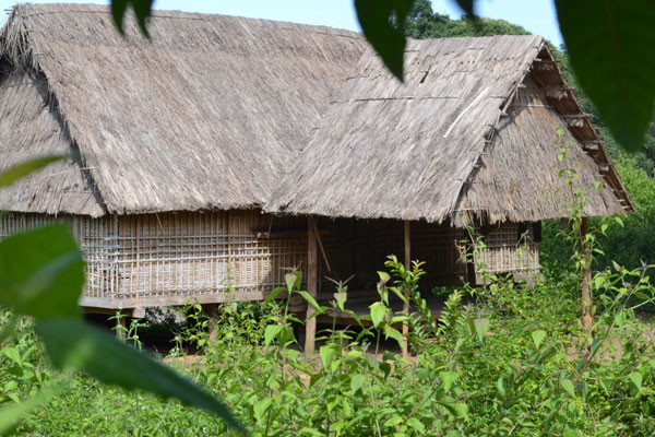 Dù còn khá nguyên vẹn nhưng nhiều ngôi nhà ở Kon Sơ Lăl đang dần dần bị cỏ dại đe dọa “nuốt chửng”.