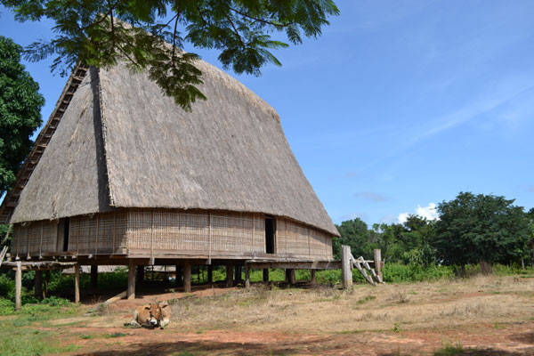 May mắn là ngôi nhà rông này vẫn còn nguyên vẹn lừng lững dù nhiều năm nay không được chứng kiến một lễ hội nào.