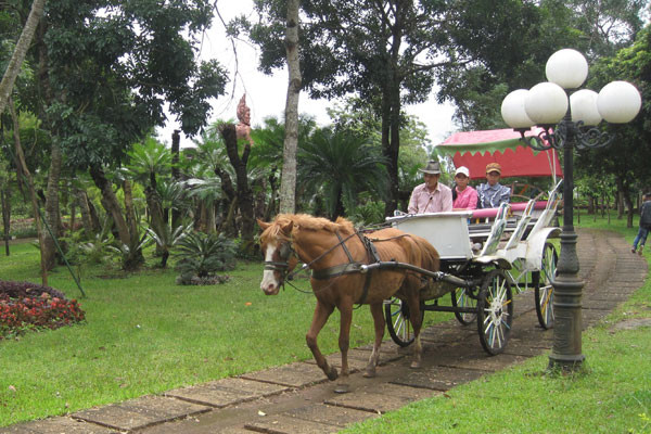 Dịch vụ tham quan công viên bằng xe ngựa với giá vé 15.000 đồng (người lớn) và 10.000 đồng (trẻ em). Ảnh: Hồng Thi
