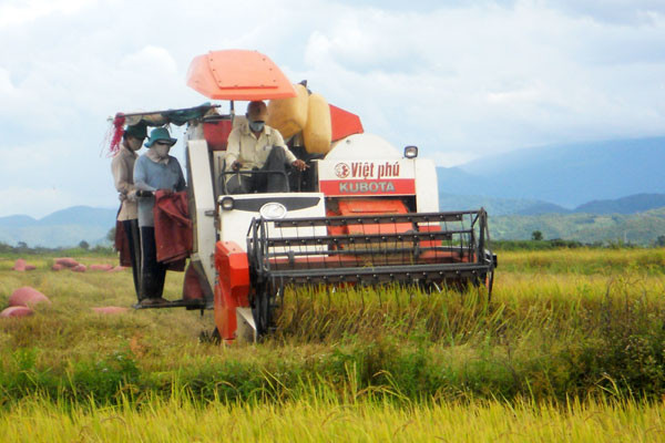 Ảnh: Hồng Sơn Ảnh: Hồng Sơn