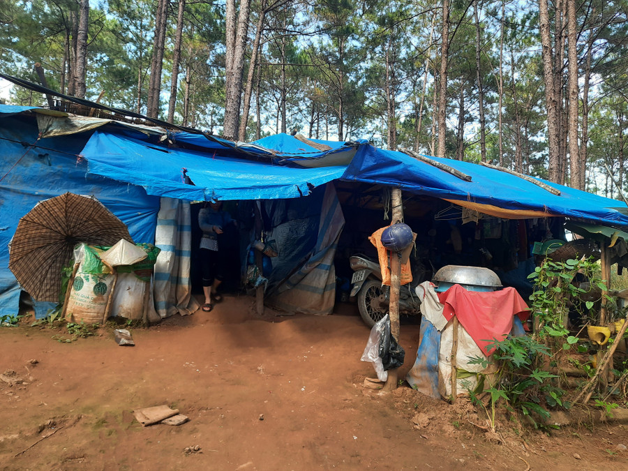 3 mẹ con chị Liễu sống nương tựa nhau trong căn lều tạm bợ, dột nát. Ảnh: Kỳ Phú