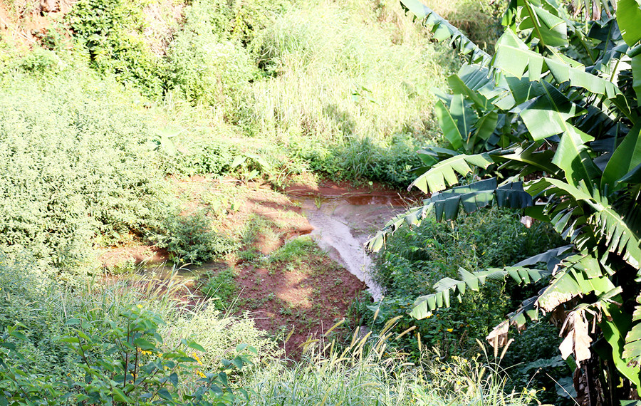 Đầu nguồn con suối Ia Kring bây giờ. Ảnh: Đình Phê  Đầu nguồn con suối Ia Kring bây giờ. Ảnh: Đình Phê