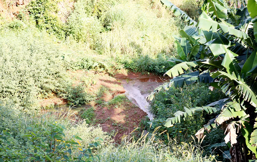  Đầu nguồn con suối Ia Kring bây giờ. Ảnh: Đình Phê