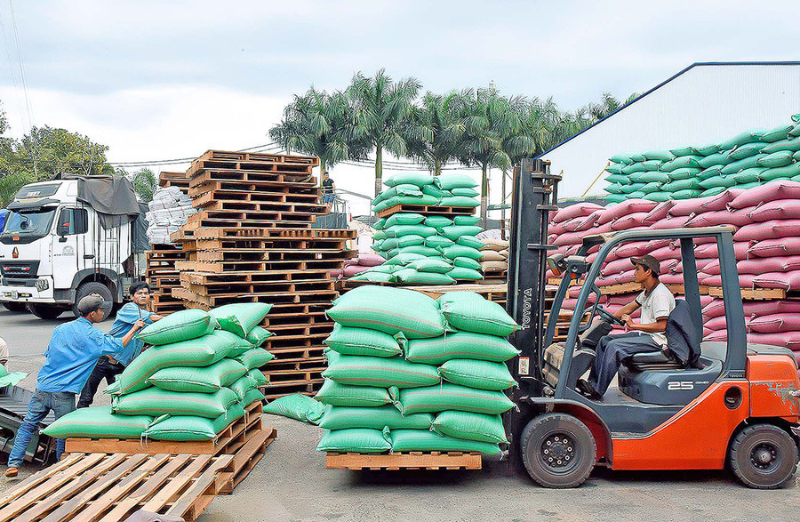 Sản xuất cà phê xuất khẩu tại Công ty TNHH Vĩnh Hiệp (TP. Pleiku). Ảnh: Đức Thụy