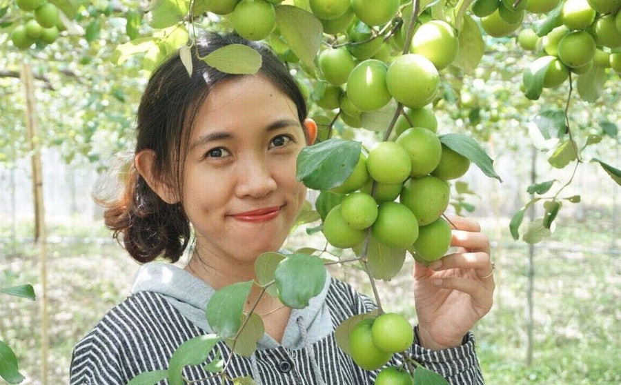 Vốn dĩ Farm của Trang trồng chủ yếu táo và nho để thu hoạch quả, trong mùa dịch, 